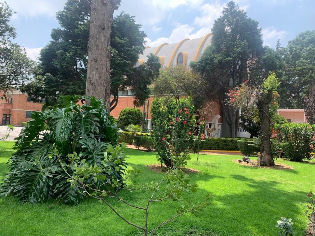 Hotel Express Quinta Soledad Meksyk Zewnętrze zdjęcie
