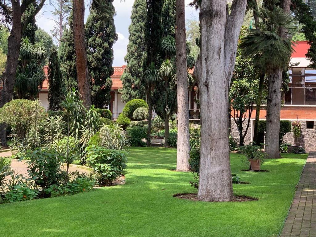 Hotel Express Quinta Soledad Meksyk Zewnętrze zdjęcie