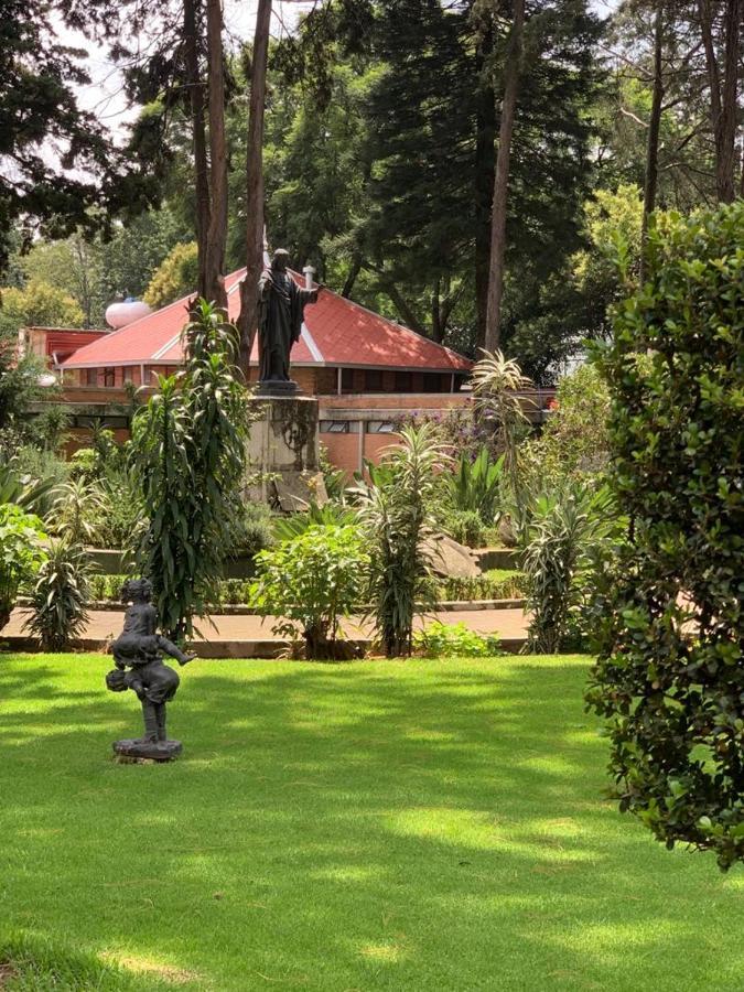 Hotel Express Quinta Soledad Meksyk Zewnętrze zdjęcie