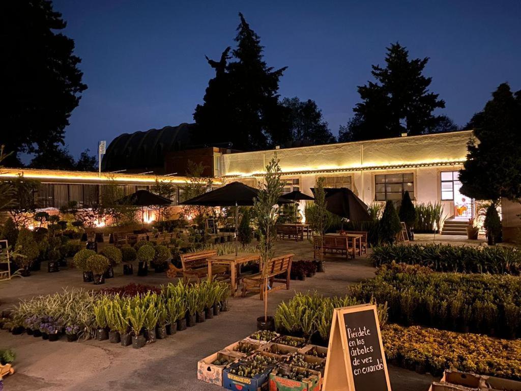Hotel Express Quinta Soledad Meksyk Zewnętrze zdjęcie