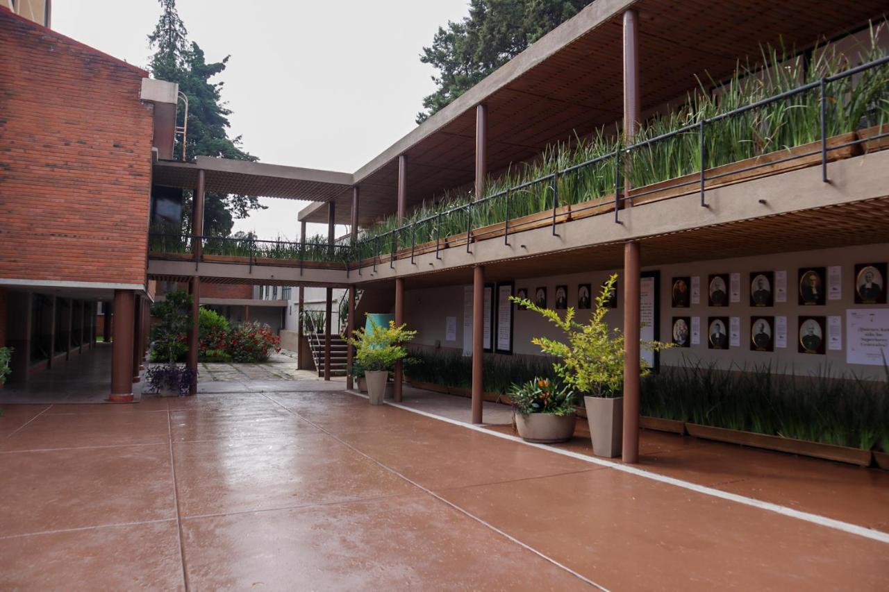 Hotel Express Quinta Soledad Meksyk Zewnętrze zdjęcie