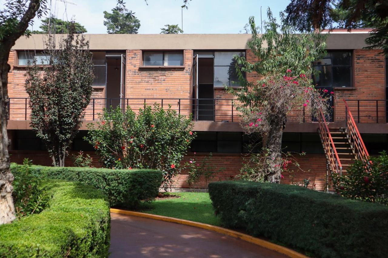 Hotel Express Quinta Soledad Meksyk Zewnętrze zdjęcie