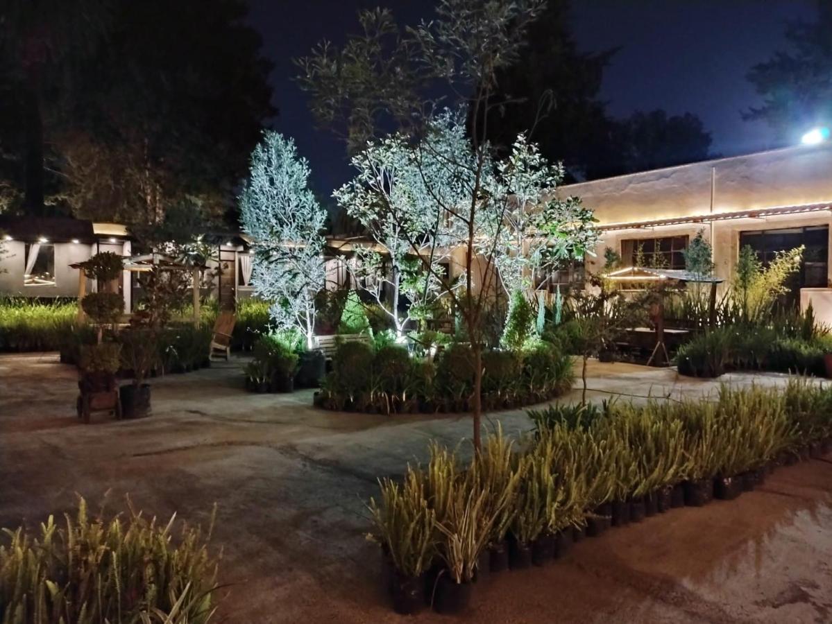 Hotel Express Quinta Soledad Meksyk Zewnętrze zdjęcie
