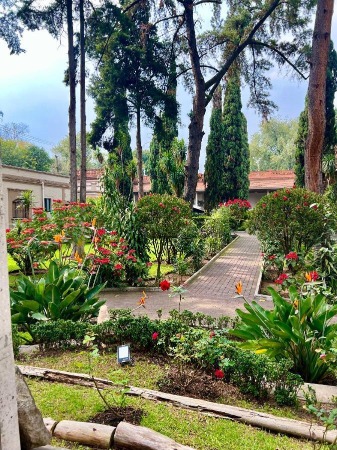 Hotel Express Quinta Soledad Meksyk Zewnętrze zdjęcie